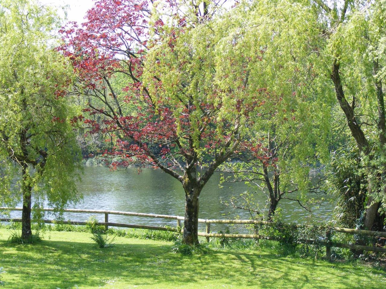 Innishannon House Hotel מראה חיצוני תמונה